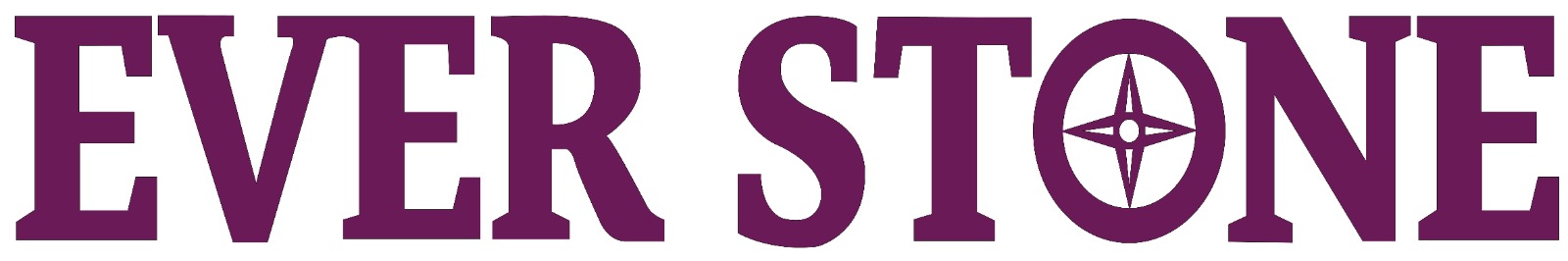 Everstone Logo